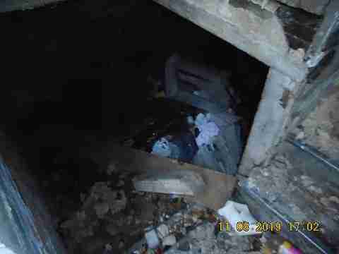 2447 Clements (21)_m.jpg